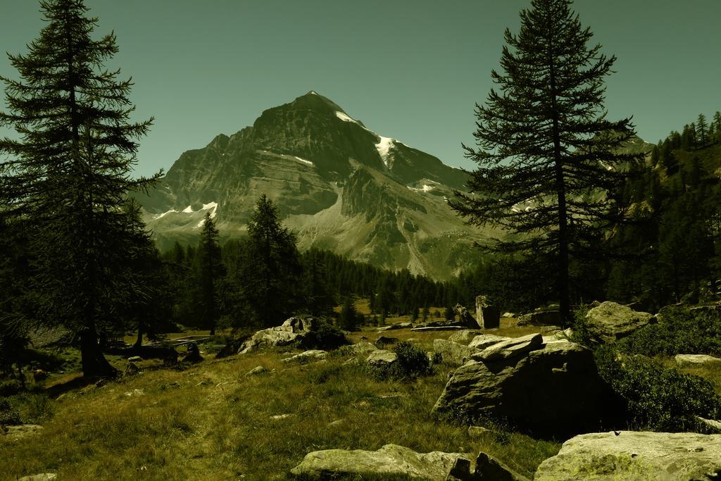 B&B Alpe Veglia Варцо Екстер'єр фото
