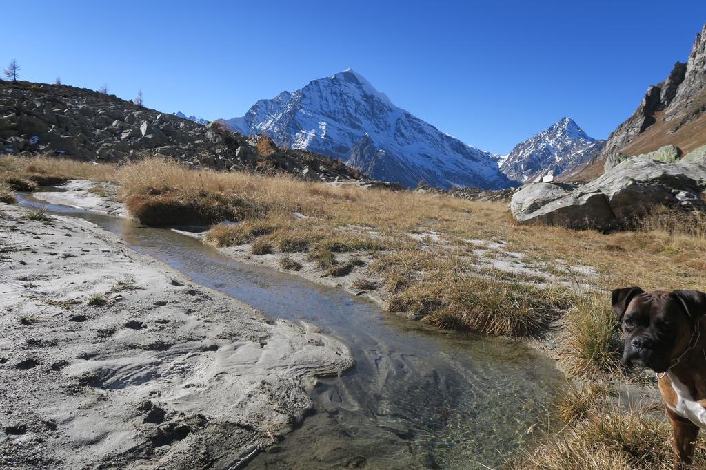 B&B Alpe Veglia Варцо Екстер'єр фото