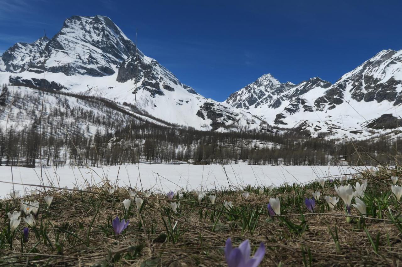 B&B Alpe Veglia Варцо Екстер'єр фото